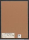 Navicula lyra var. atlantica A.Sch. (de-Toni-Nr.: Genus 1, Species 327) Zeichnungen Sammlung Grunow Mappe 00280 (Herbarium_W_Grunow_drawings_Folder_00280)